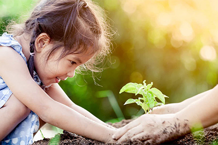 projetos-meio-ambiente